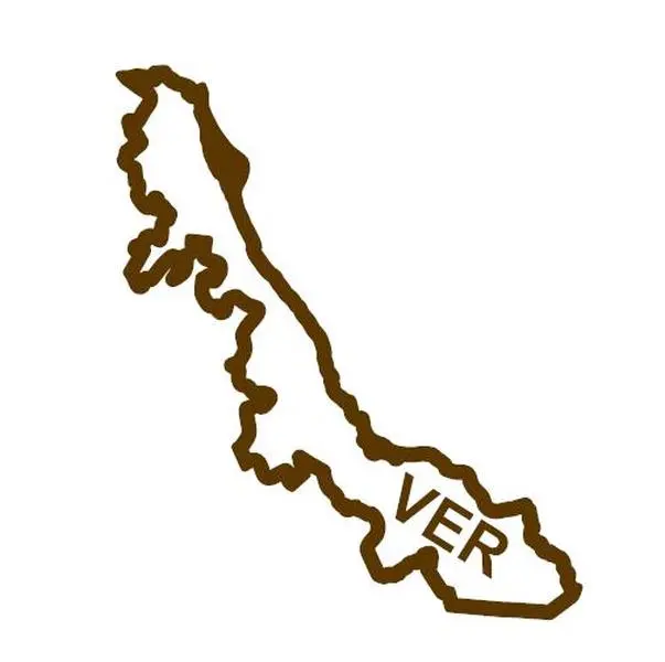 Mexican State Map Outline Veracruz Vinyl Decal Sticker UV & Waterproof Bumper Window Laptop Automotive Water Bottle Gift accessories – BROWN 6"