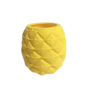 Pineapple Shape Plastic Flower Pot, Cute Succulent and Herb Planter, Indoor Plant, Balcony, Desk, Unique Decoration