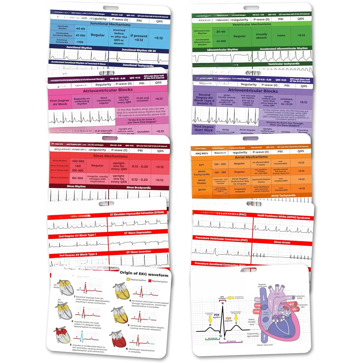 Double-Sided Nurse ECG Identification Badge Accessory Set - 5-Card 3"x4" ACLS Cardiac Reference Rhythm Cheat Sheet, Telemetry Strips, Bonus Card with Examples, Easy to Clip On