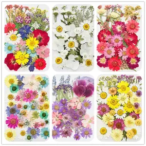 42pcs Natural Vibrant Real Dry Pressed Flowers & Leaves Bulk Resin Supplies with Intact Shapes, for Scrapbook DIY Art Crafts, Jewelry Molds