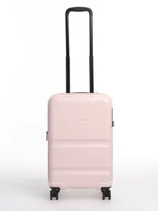 [ FLASH SALE ] Carry-On Companion Luggage