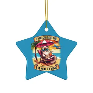 Custom-Made Glossy Ceramic Christmas Ornaments with Humorous Ragdoll Kitten Print, 4-Shape Festive Decoration, Includes Circle Option & Pack