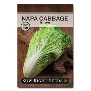 Hilton Napa Cabbage Seeds