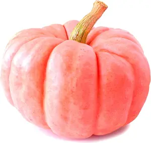 Porcelain Doll Pumpkin Seeds – Soft Pink Heirloom Variety (10 Seeds)
