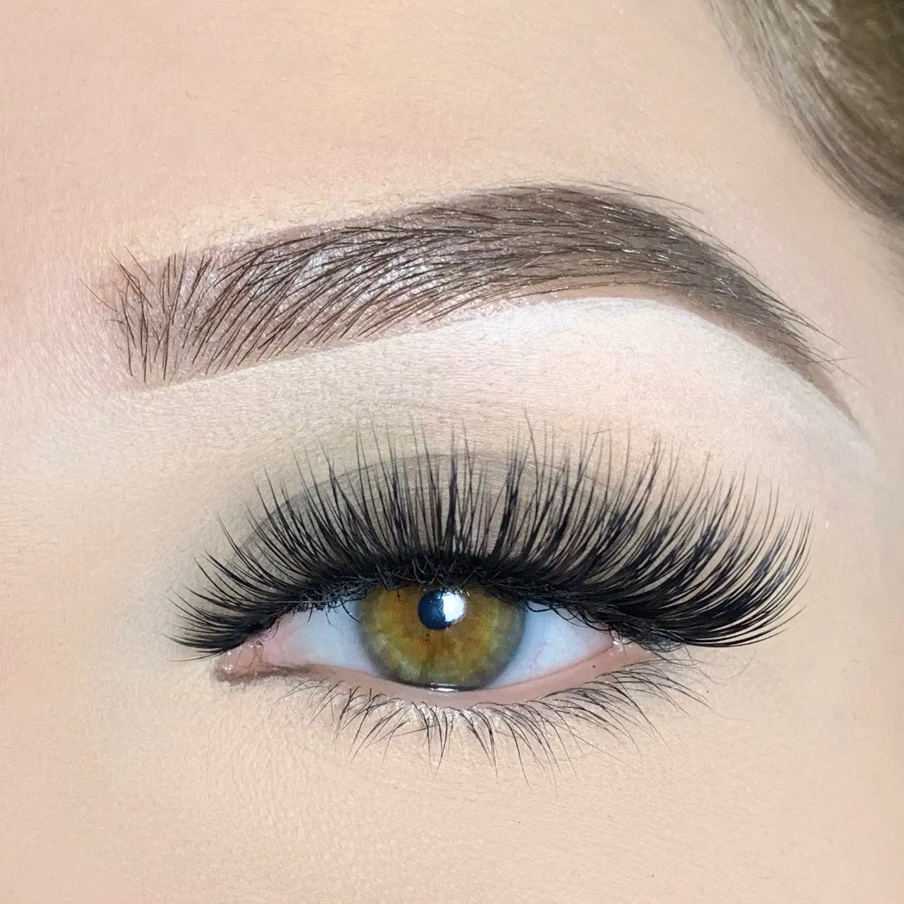 Divina Lashes - Classic Cat Eye Falsies