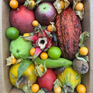 Variety Box Variety Box