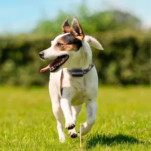 Greatway Guard global positioning device Wireless Dog Fence System" Gps