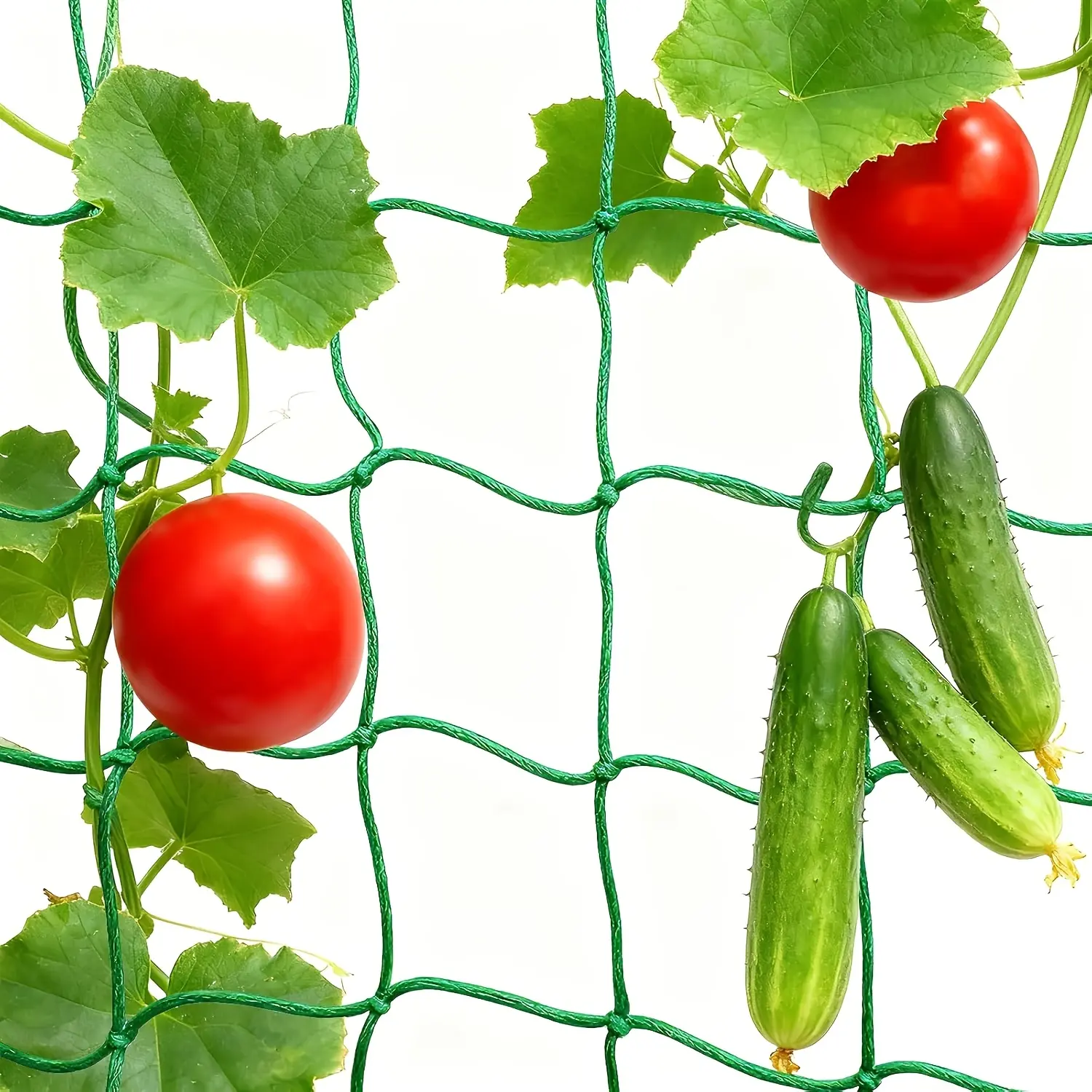 Pe Trellis Netting for Climbing Plants, Includes Plant Clips, Ideal for Tomatoes & Veggies, Durable Gardening Support, Ideal for Cucumbers