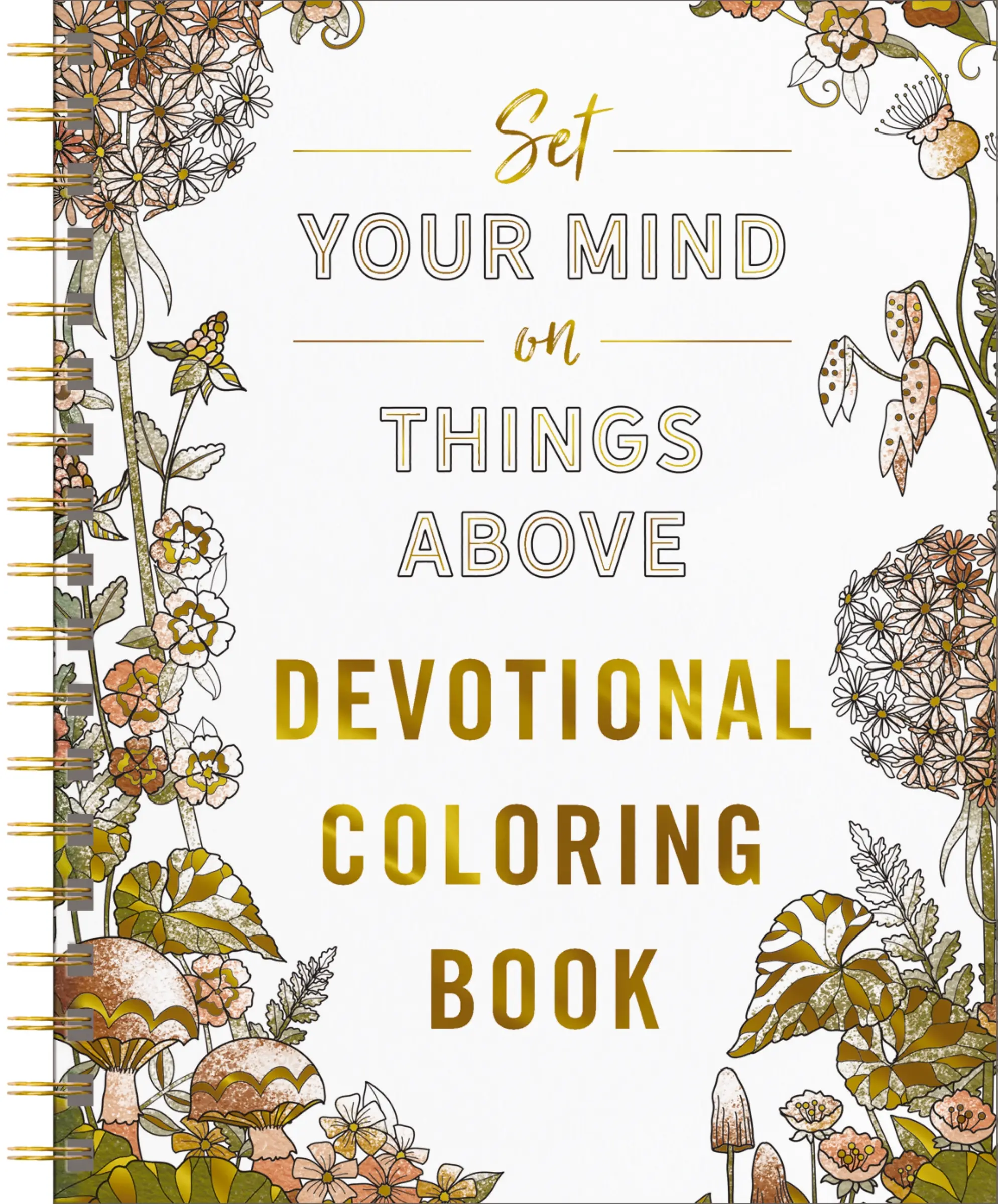 Set Your Mind on Things Above: Devotional Adult Coloring Book (75 Daily Devotions and Coloring Pages to Steady Your Soul) – The Perfect Gift for Christian Women (Faith Inspired Creativity) by DaySpring [Paperback Book]