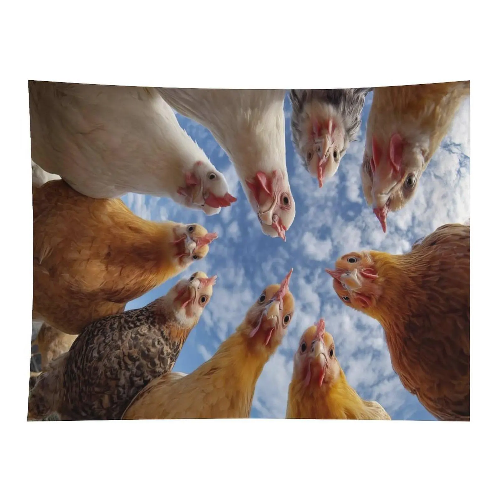 Flock of Chickens Low Angle Sky Group Photo Wall Tapestry Wall Hanging, Funny Farm Hen Bird Viral Meme Aesthetic Decor for Farmhouse Bedroom Dorm Wall Ornament