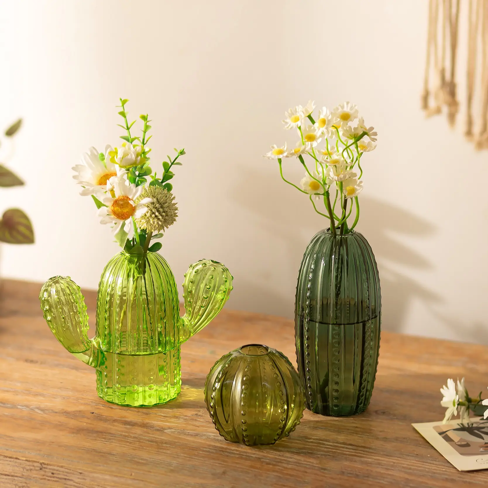 Cactus Glass Vase, 3 Pcs Plant Propagation Station Terrarium Jars for Plant Cuttings, Air Plant Holders, Home Garden Decor for Hydroponics Plants, Christmas Gifts for Plant Lovers