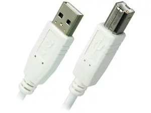 Nippon Labs USB-6-AB-W White 6ft.USB 2.0 A Male to B Male Cable