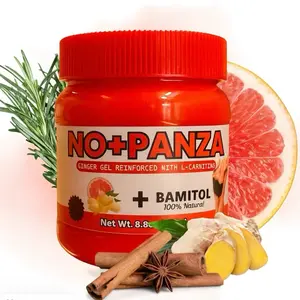 Gel de Jengibre NO+PANZA Ginger Gel + L-Carnitine +Bamitol, 8.8 Ounce (Pack of 1) Natural Herbal Ointment Organic