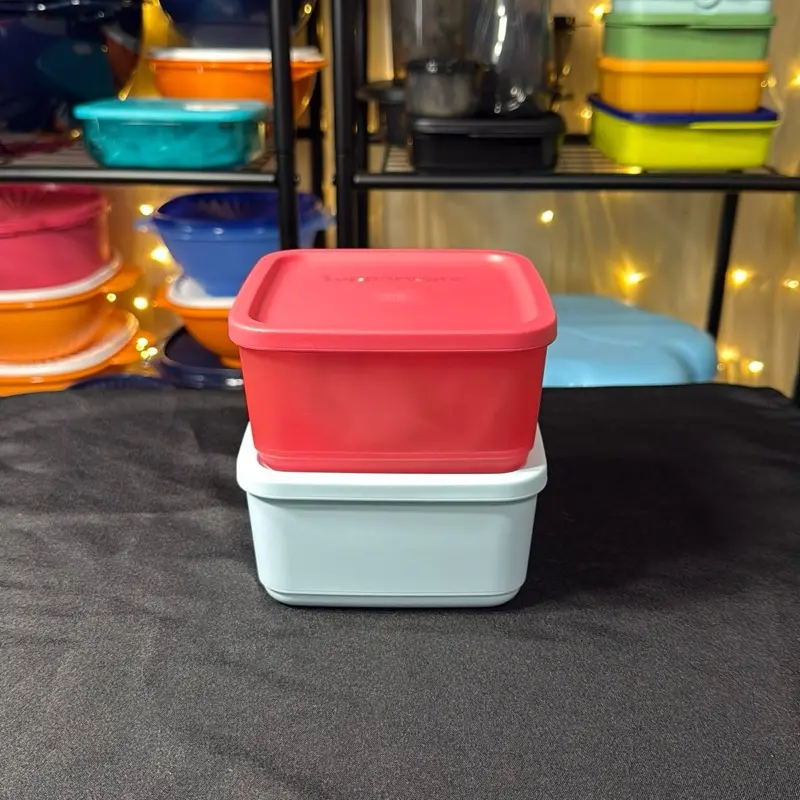 Tupperware Refei Modular Chico
