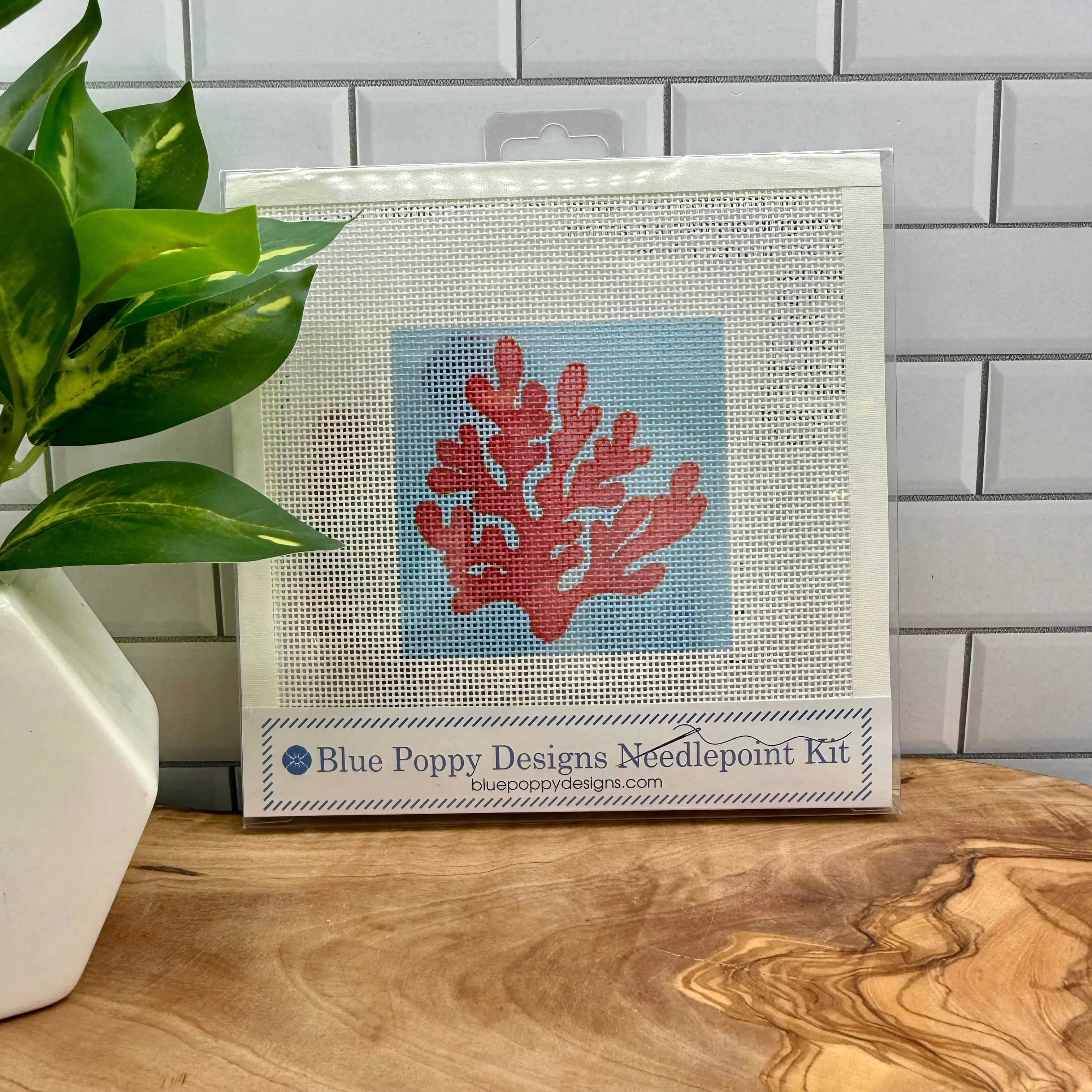Coral Needlepoint Design