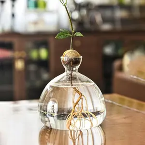 Avocado Shaped Hydroponic Vase, Centerpiece Vase, Stylish Indoor Home Decor Planter, Modern Desktop Ornament, Great Gift for Plant Lovers, Seeds Not Included