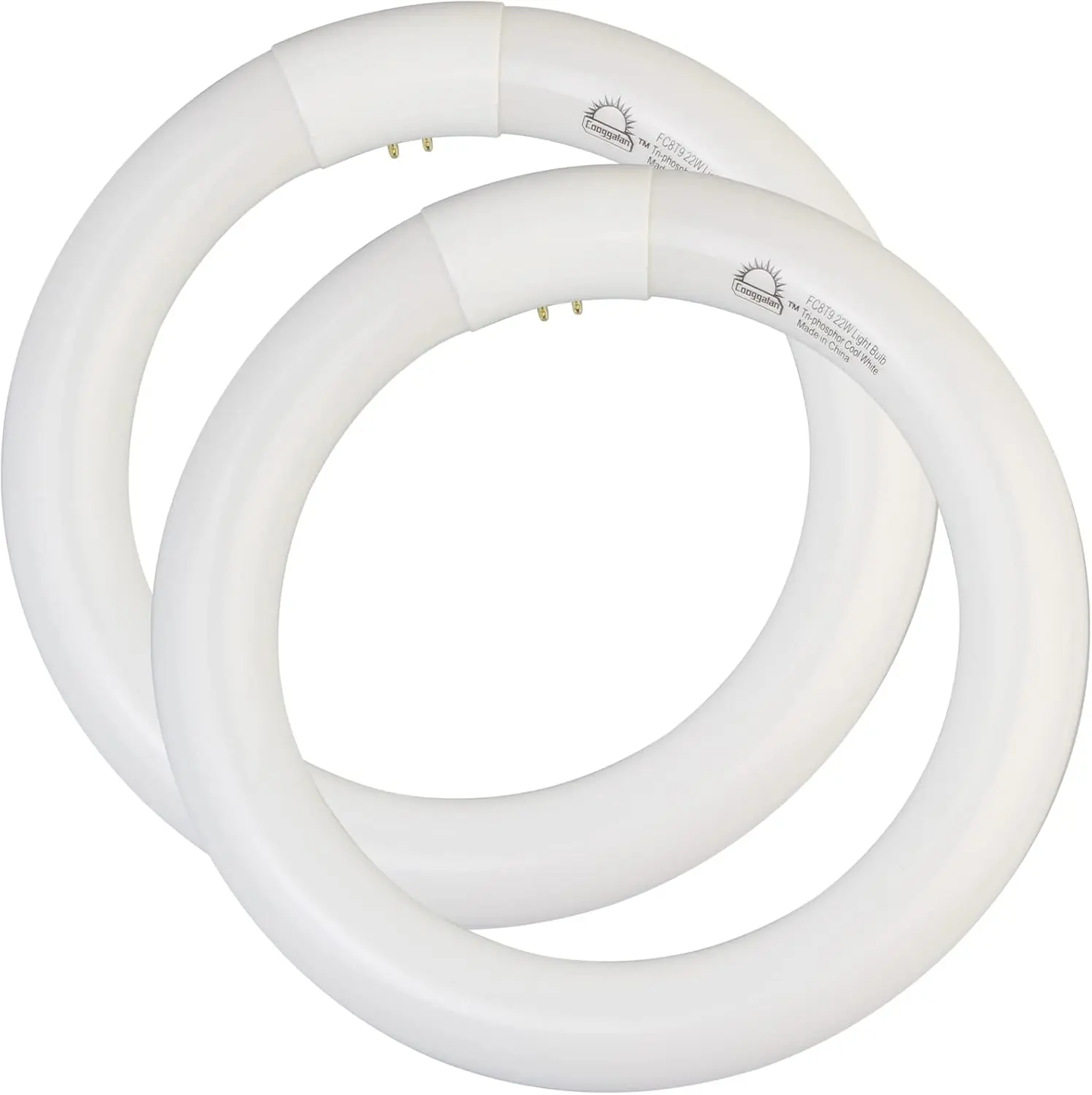 8 inch FC8T9/CW 22W Cool White Circular Fluorescent Light Bulb, Round T9 22 Watt Circline Fluorescent Lamp Bulbs 4100K 1350 Lumens, G10q 4 Pin Base, 2 Pack