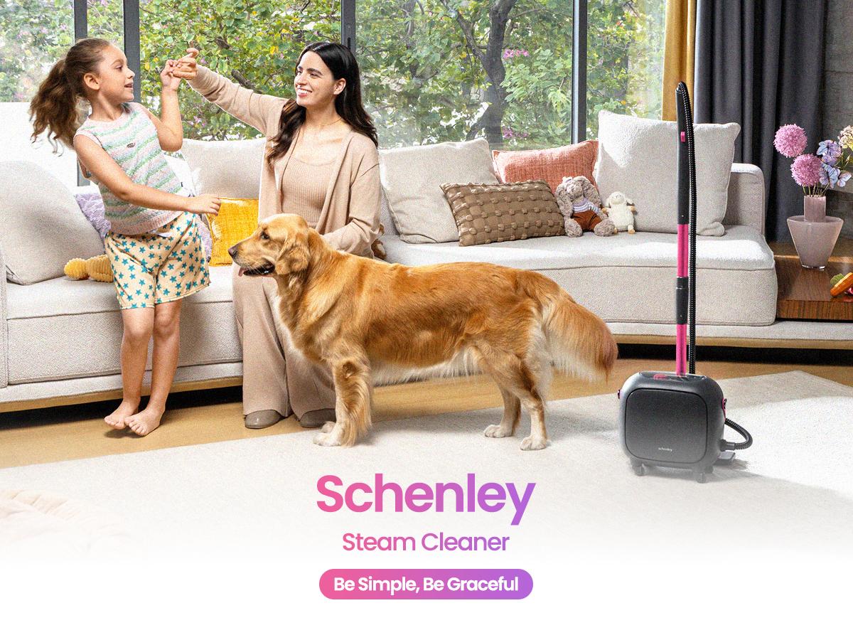 Schenley 21-in-1 Steam Cleaner, High-Pressure Heavy-Duty Steamer for Deep Cleaning Floors, Tiles, Upholstery, Grout, Grill and Cars, Fast Heat-Up, Large Water Tank, Multi-purpose, Portable Design