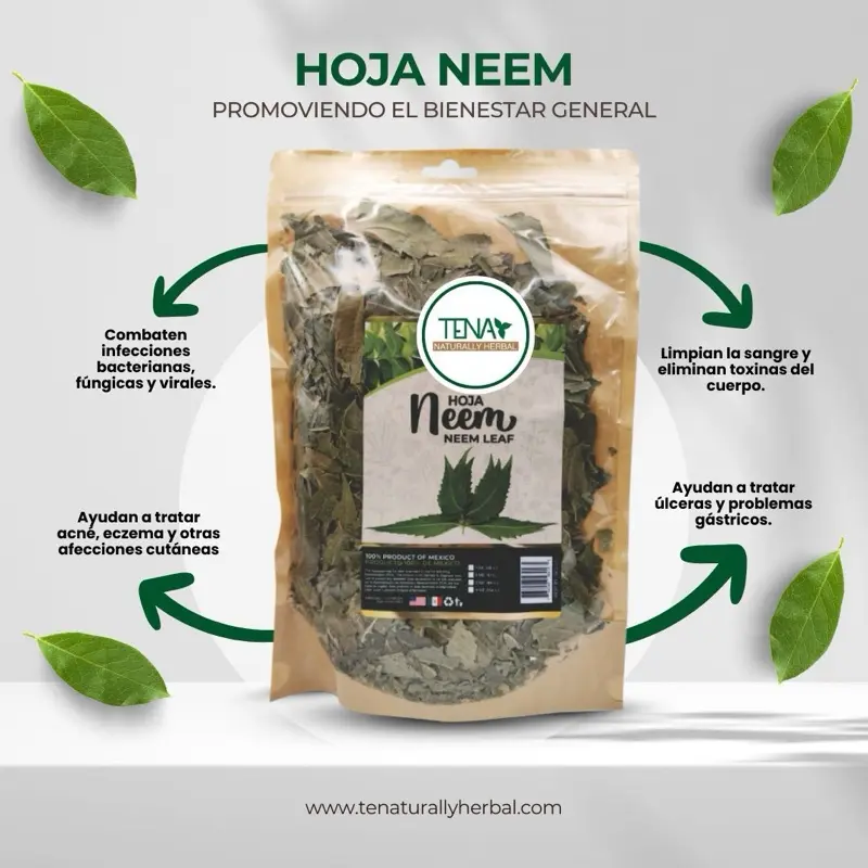 Premium Hand-Selected and Packaged Fresh Herbal Dried Neem Leaf Wellness Tea Bags, 4 oz - Earthy Detox Cleanse Tea - Caffeine-Free - Supports Skin Health