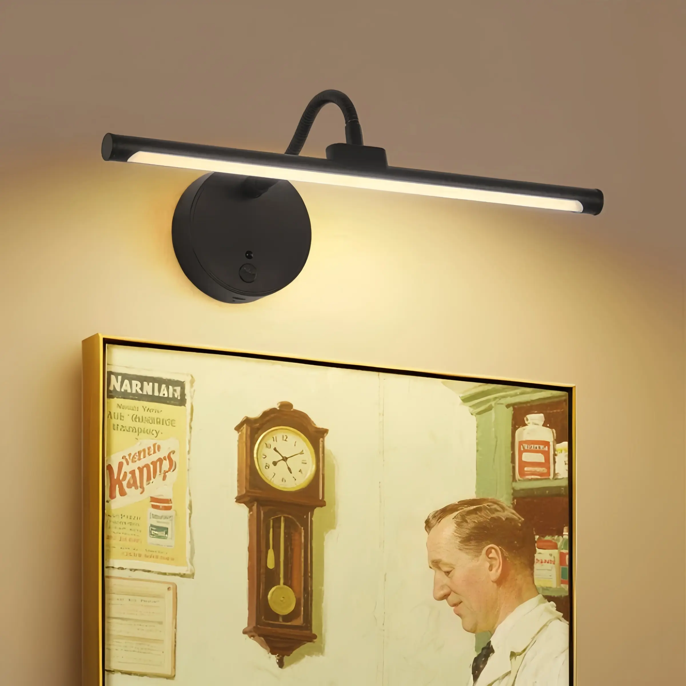 Remote Control Artwork Picture Light, USB Rechargeable Wall Lamp, Adjustable Lighting, Dimmable, Timer Function, Metal Art Lamp for Painting, Display, Gallery