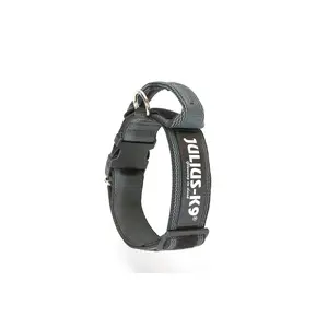 Julius-K9 Color & Gray® Collar with Handle, Safety Lock and Interchangeable Patch