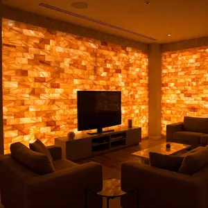 Himalayan Pink Salt Tiles 8x4x1 — Pack of 10