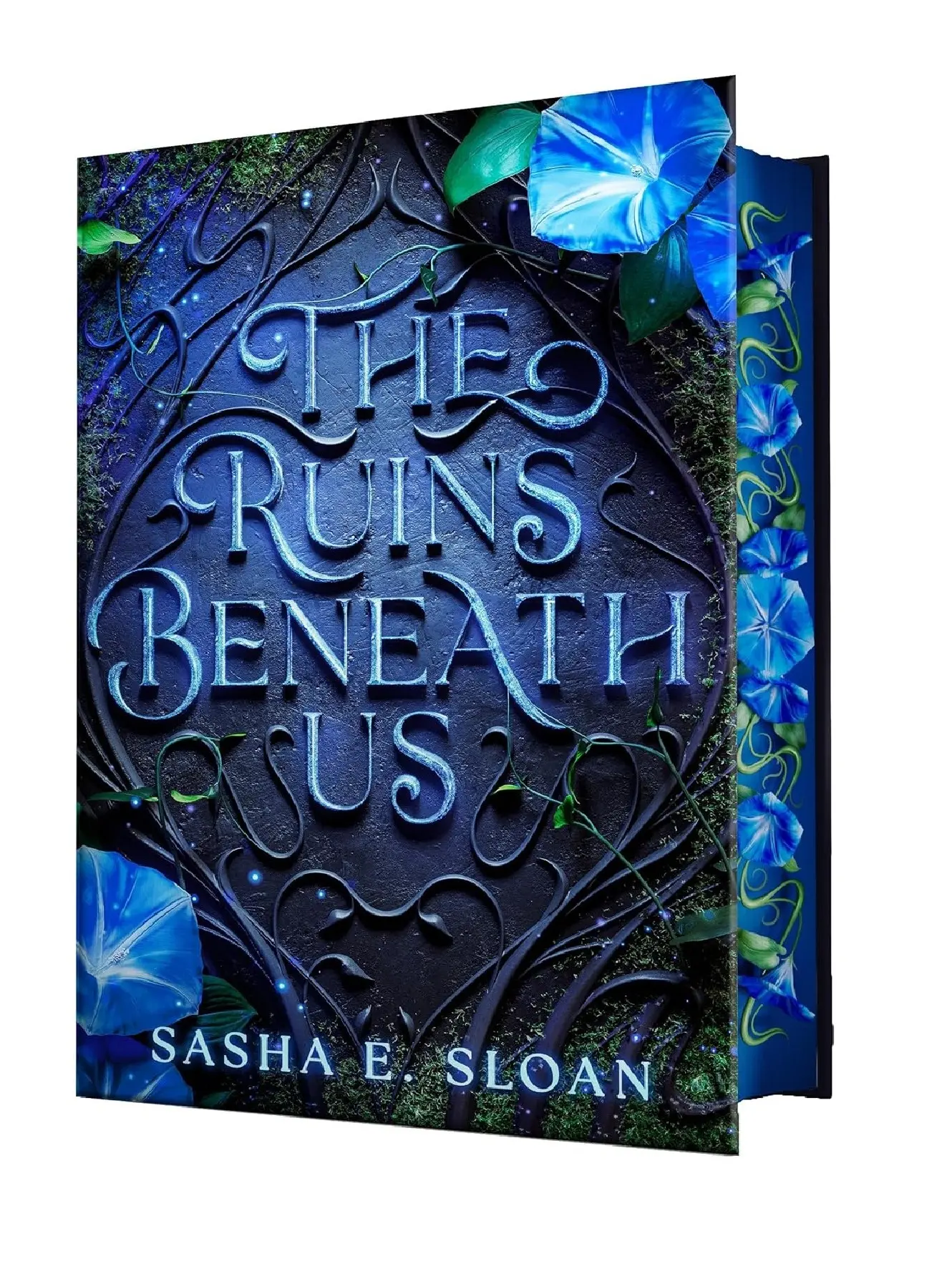 The Ruins Beneath Us: A Fantasy Novel by Sasha E. Sloan, Hardcover Romance Book for Fans of Romance Novels, Hardcovers Romance Books