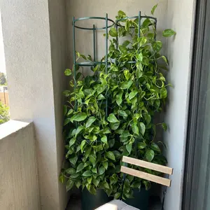 Plastic Connectable Flower Stand Support Ring Pole Indoor Plant Rack Balcony Climbing Plants Outdoor Vine Trellis, Durable & Versatile Garden Accessory