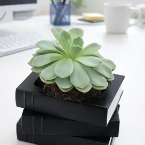 Faux Book Stack Planter – Minimalist Succulent Pot for Home or Office