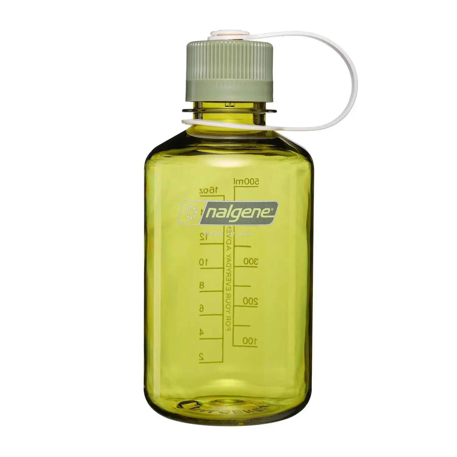 Endive with Oil Green