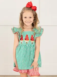 Watermelon Treats Gingham Ruffle Outfit