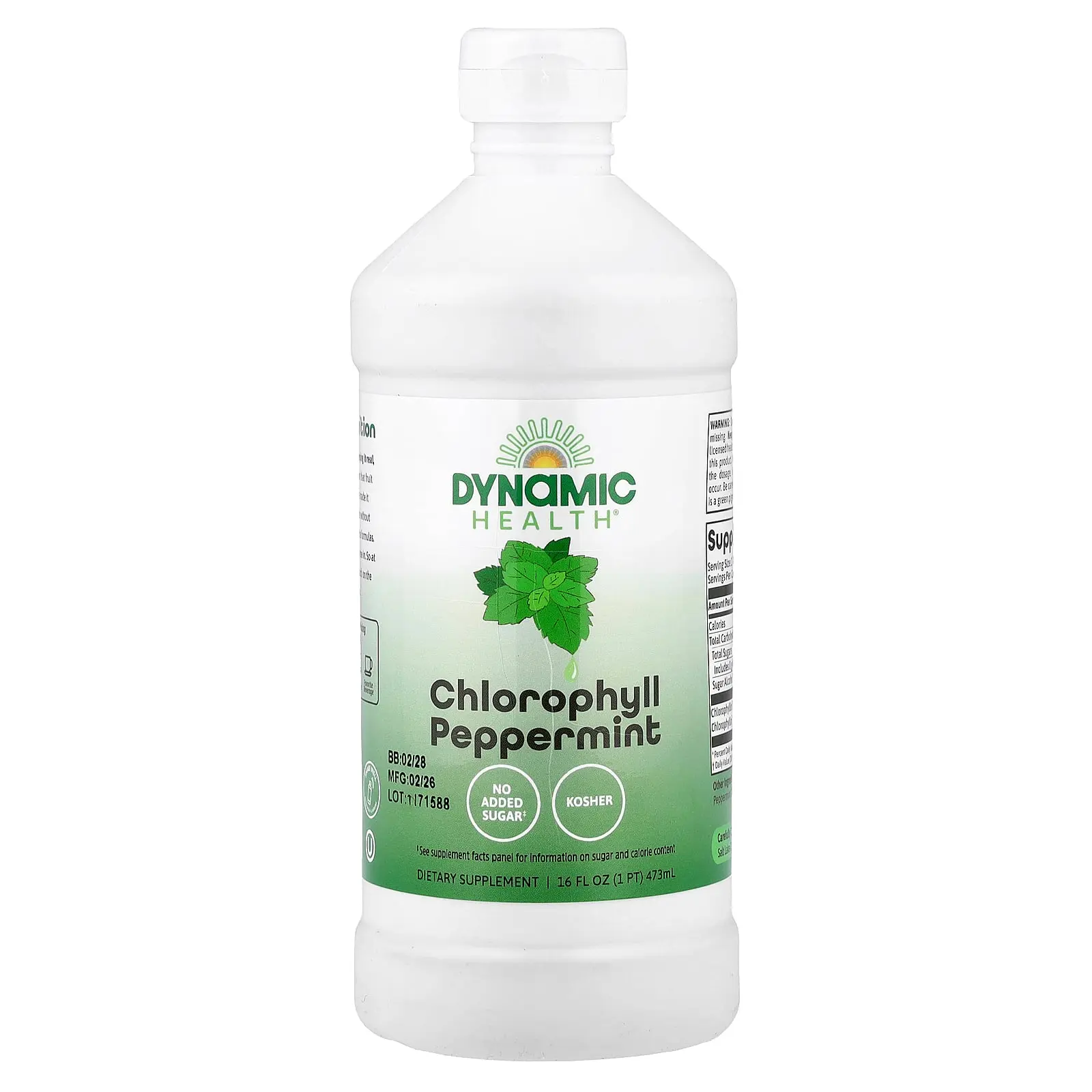Dynamic Health Chlorophyll, Peppermint, 16 fl oz (473 ml)