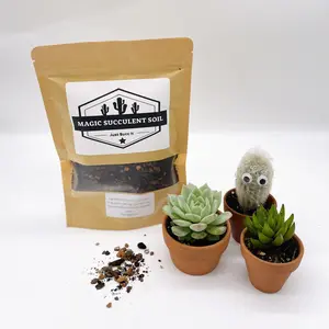 Magic Succulent Soil