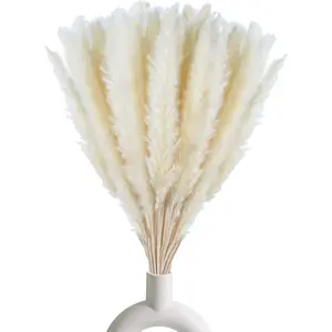 30 count White Pampas Grass ,17 inch/45 cm  Dried Pampas Grass Branches Decor for Home Kitchen Garden Party Photographing Flower Arrangement Vase Decor(White