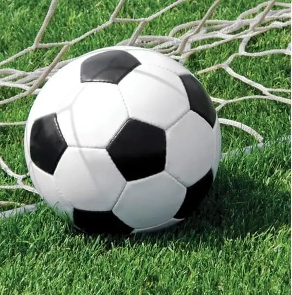 Creative Converting Disposable High-Quality Soccer Luncheon Napkins - Case of 216, 1.00 x 6.50 x 6.50 in, Meticulous Details, Consistent Color Matching, Ideal for Family Gatherings & Intimate Dinners