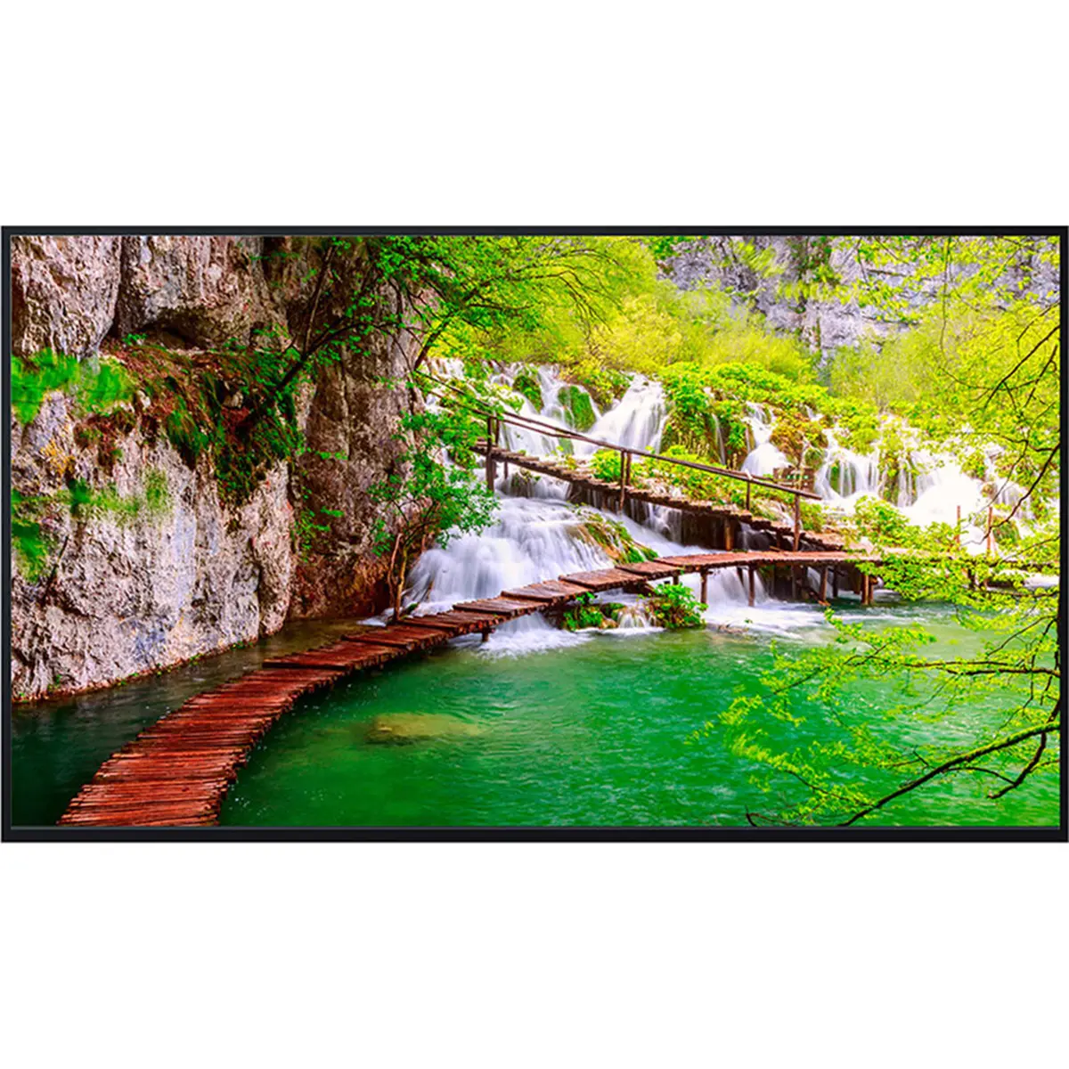 Panasonic TH-43CQE2U 43" 16:9 Class 4K UHD Digital Signage IPS LCD Display