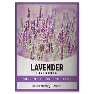 Lavender Seeds For Planting In Garden Herbal Tea Butterfly and Bee Pollinator Perennial Plant Seed