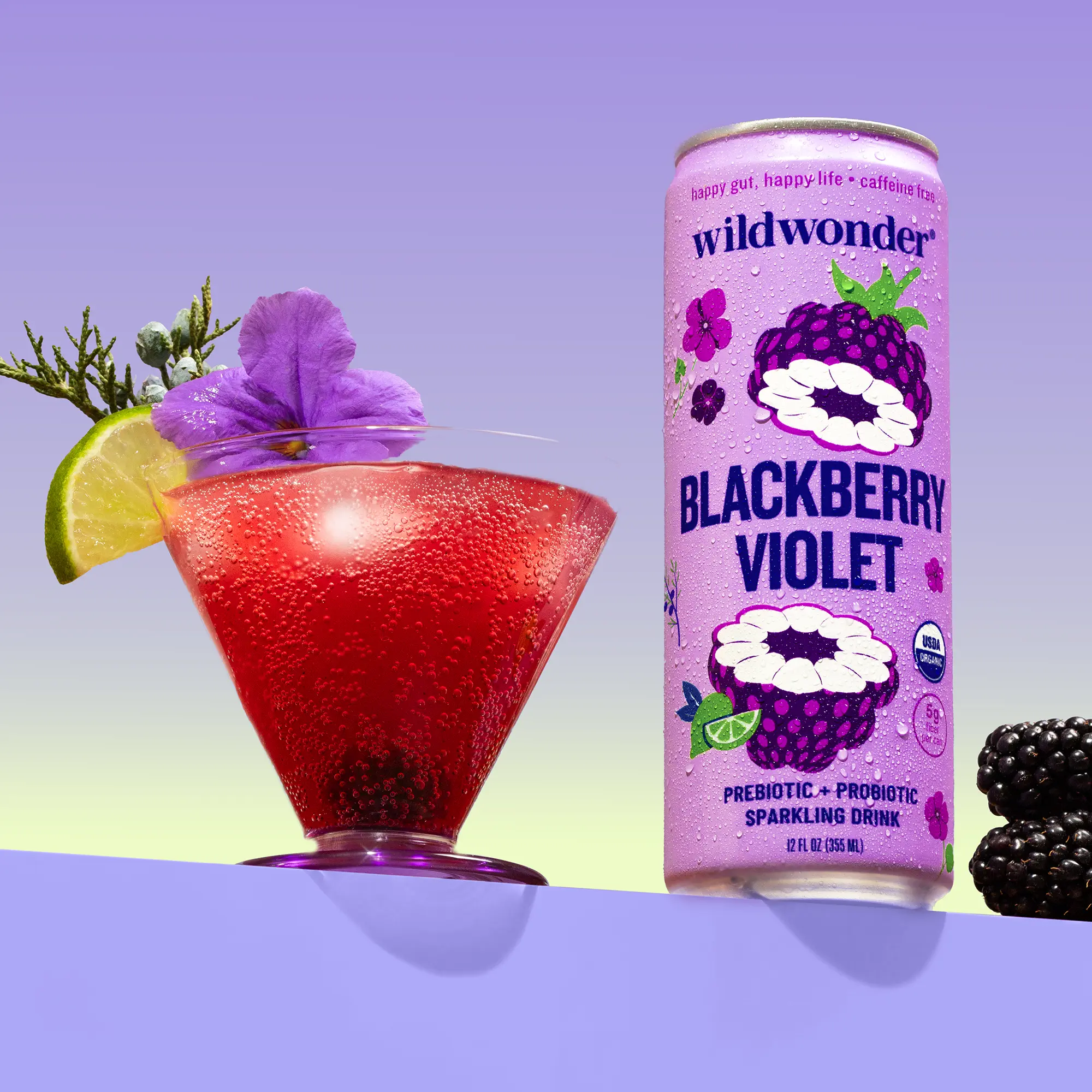 wildwonder Sparkling Probiotic Drink for Gut Health & Immune Support, Blackberry Violet, 5 G Prebiotic Fiber, Live Probiotics, Organic, Vegan, Low Sugar, 12 Oz Can, As Seen on Shark Tank
