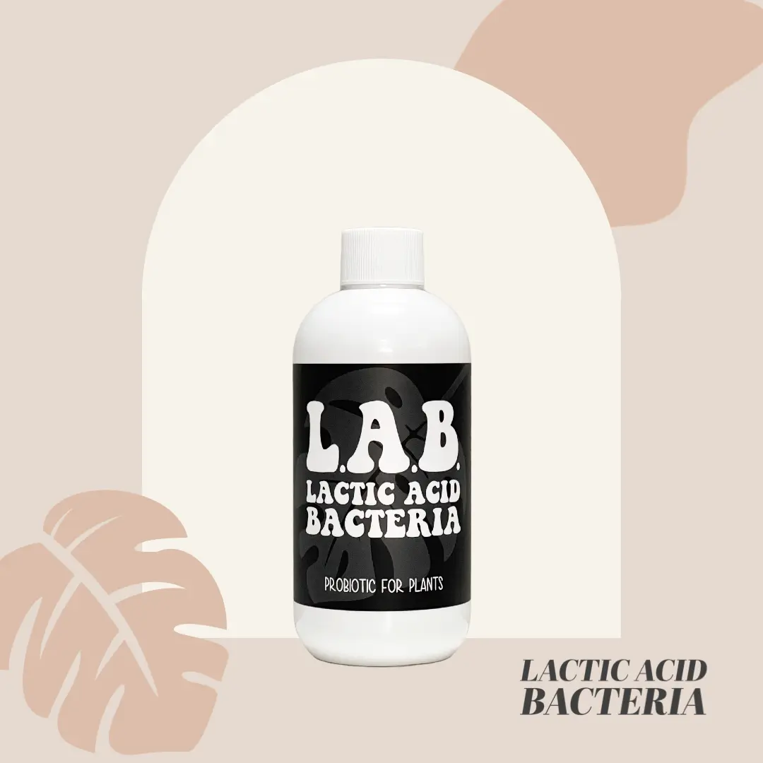 L.A.B. Lactic Acid Bacteria - Probiotic for Plants