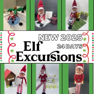 2025 CLEARANCE 24 Day Activities Elf Excursion Box Decor Christmas Magical Ornaments with Daily Adventure Cards & Photo Examples