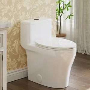 Garvee One-Piece Toilets, Low Water Tank, ADA 17.5" Seat Height, Water-Saving Design, Compact Modern Bathroom Toilet