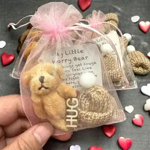 Five-Piece Mini Plush Bear Gift Bag Set, Goodie Bag Stuffers, Includes Encouragement Cards, Cute and Teddy Bears in Transparent Mesh Bag