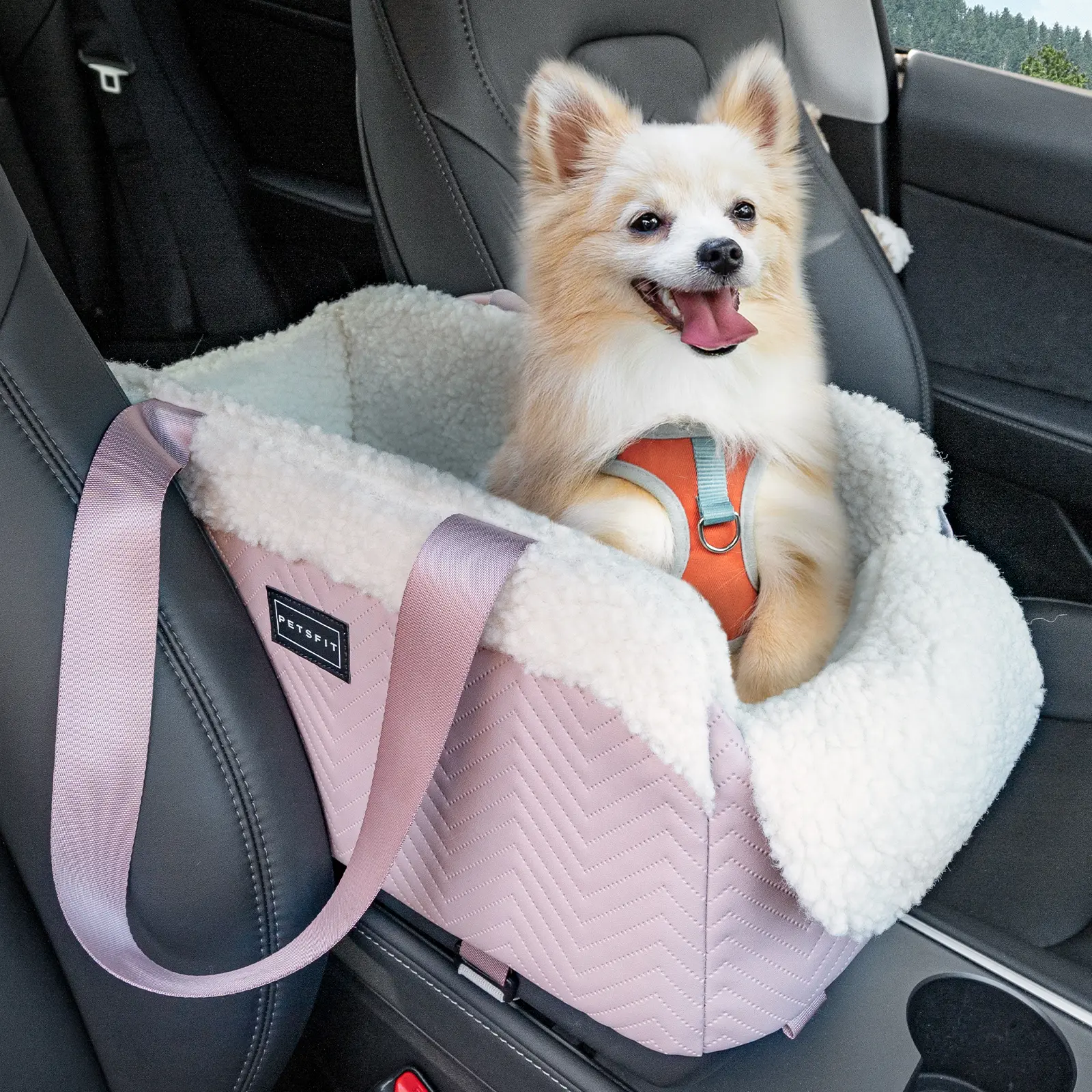 PETSFIT Cat Car Seat, Portable Console Dog Car Seat with Safe Protective Hooks, Luxury Pet Car Seat Includes Safety Leash and Storage Pocket for Pets Up to 11 lbs (Pink)