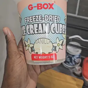 G-Box Freeze Dried Ice Cream Cubes in Air-tight Sealed Container | Vanilla | Chocolate | Snack Dessert