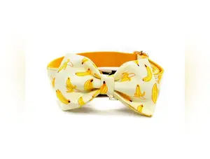 Personalize Banana Dog Leash and Collar Set