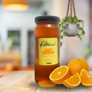 GoBeeAlive Orange Blossom Honey 16oz – A Sun-Kissed Burst of Flavor and Wellness!