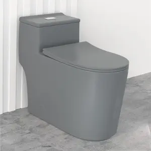 WinZo Comfort One Piece Toilet 17.25 inches Tall Elongated Bowl for Modern Bathroom 12-inch Rough in,Matte Grey