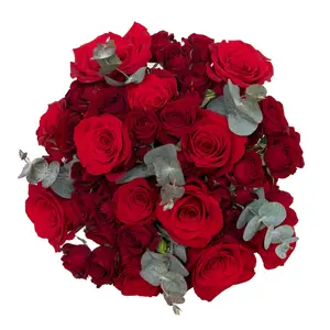 Opulent Blossom Bouquet - Red