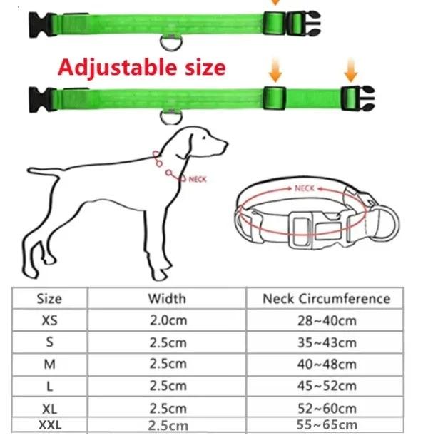 LED Dog Collars - High-Quality Dog Collar with Effective Lighting, Durable Material, and Easy-to-Use Design walking