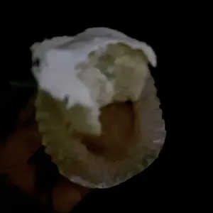 Micro Ingredients Organic Coconut Milk Powder, 2 lbs